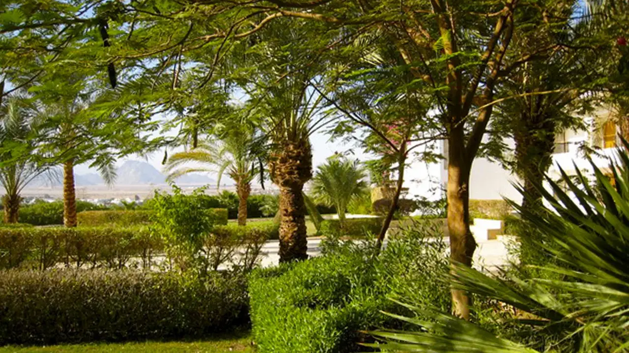 Eden Rock Hotel