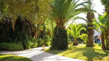 Eden Yasmine Resort & SPA