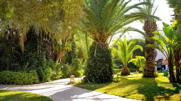 Eden Yasmine Resort