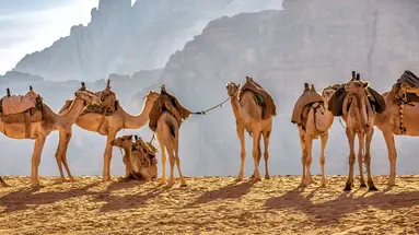 Egipt i Jordania - dwa oblicza bliskiego wschodu