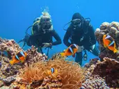 Egipt - Sharm el Sheikh - Hotel Regency Plaza Aqua Park& Spa ***** - wylot z Warszawy (all inclusive)