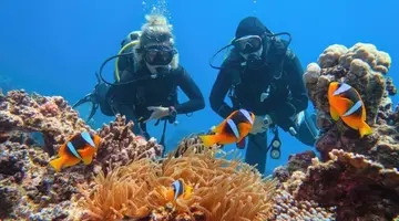 Egipt - Sharm el Sheikh - Hotel Regency Plaza Aqua Park& Spa ***** - wylot z Warszawy (all inclusive)