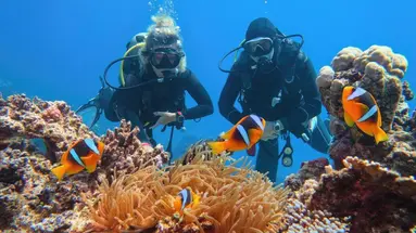Egipt - Sharm el Sheikh - Hotel Regency Plaza Aqua Park& Spa ***** - wylot z Warszawy (all inclusive)