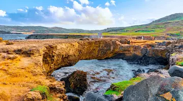 Egzotyka Light - Aruba