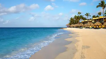 Egzotyka Light - Aruba