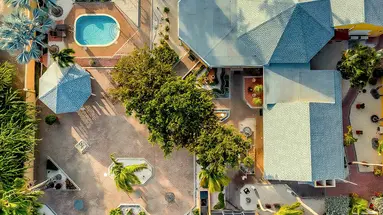 Egzotyka Light - Aruba