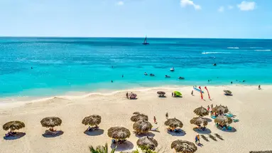 Egzotyka Light - Aruba
