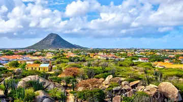 Egzotyka Light - Aruba