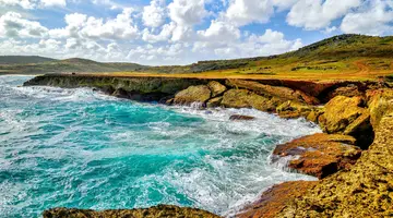 Egzotyka Light - Aruba