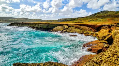 Egzotyka Light - Aruba
