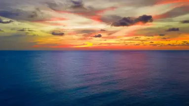 Egzotyka Light - Aruba
