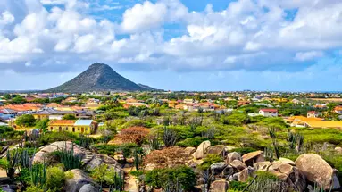 Egzotyka Light - Aruba