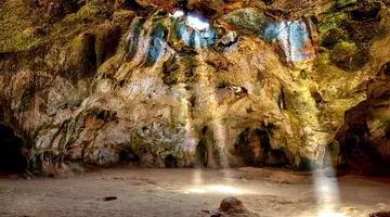 Egzotyka Light - Aruba
