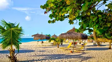 Egzotyka Light - Aruba