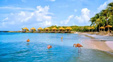 Egzotyka Light - Aruba