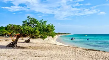 Egzotyka Light - Aruba