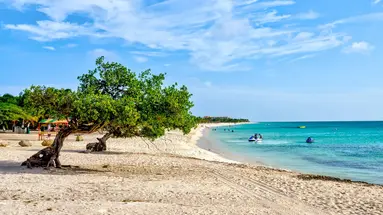 Egzotyka Light - Aruba