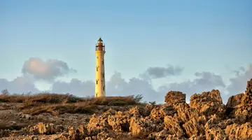 Egzotyka Light - Aruba
