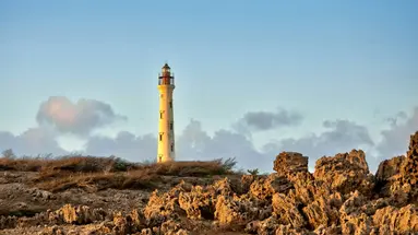 Egzotyka Light - Aruba