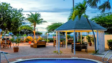 Egzotyka Light - Aruba