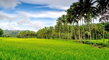 Egzotyka Light - Bohol (wersja rejsowa)