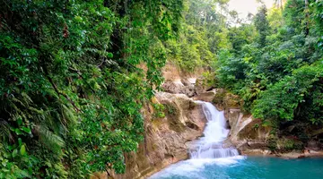 Egzotyka Light - Bohol (wersja rejsowa)