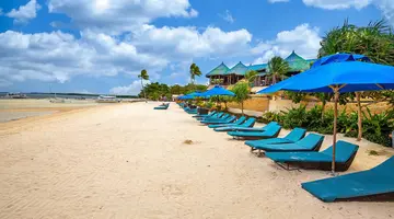 Egzotyka Light - Bohol