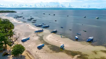 Egzotyka Light - Bohol