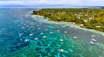 Egzotyka Light - Bohol