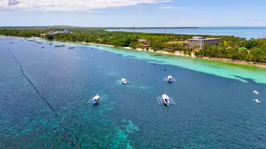 Egzotyka Light - Bohol