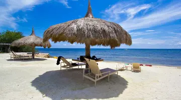 Egzotyka Light - Bohol