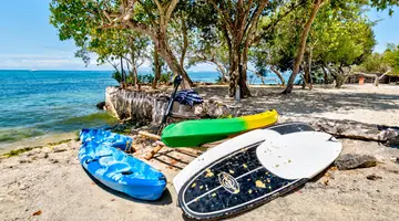 Egzotyka Light - Bohol