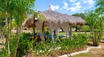 Egzotyka Light - Bohol