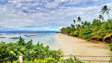 Egzotyka Light - Bohol