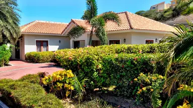 Egzotyka Light - Curacao