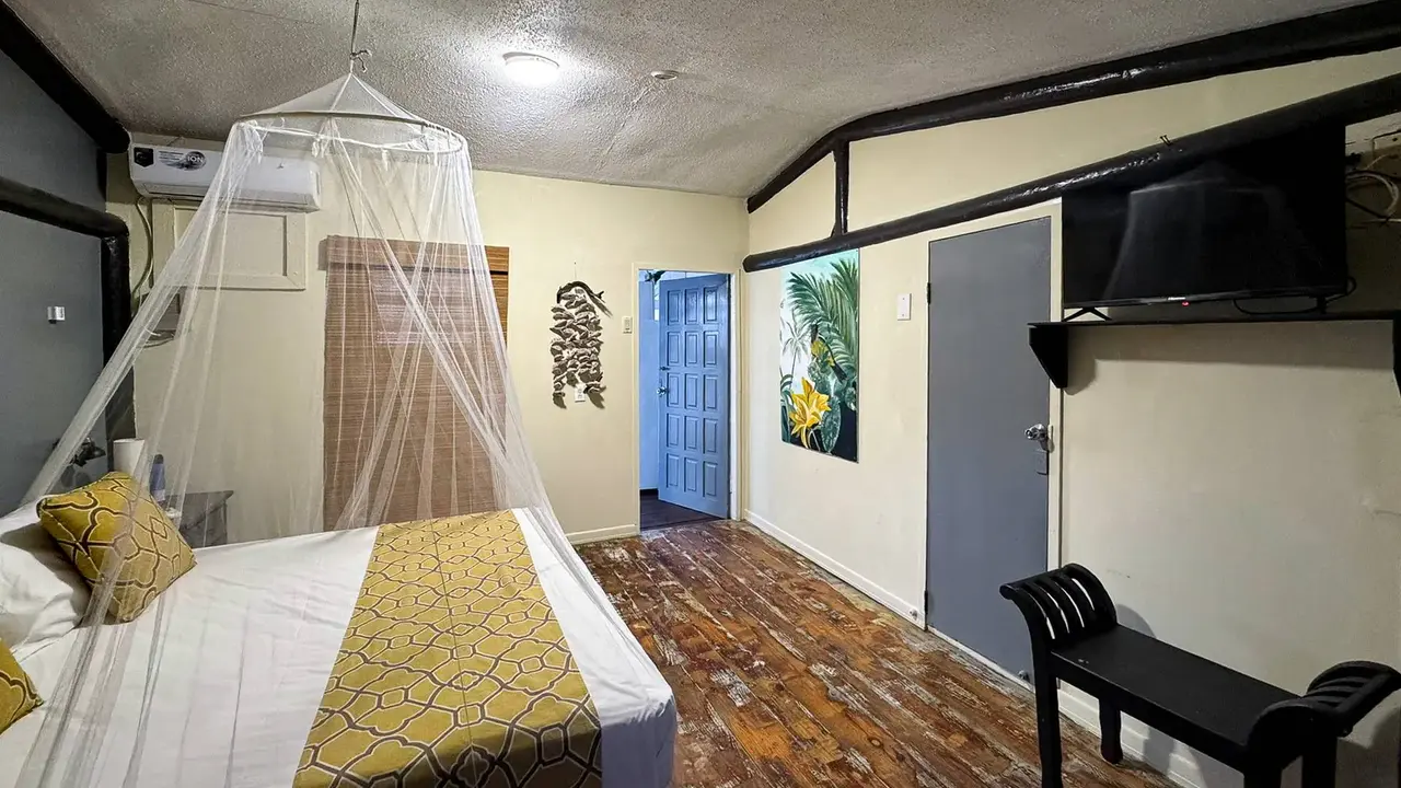 Egzotyka Light - Curacao
