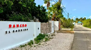 Egzotyka Light - Curacao