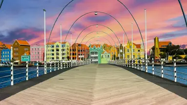 Egzotyka Light - Curacao