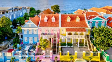 Egzotyka Light - Curacao