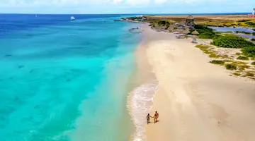 Egzotyka Light - Curacao
