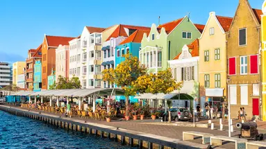 Egzotyka Light - Curacao