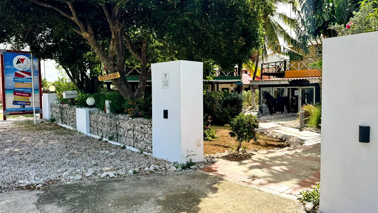 Egzotyka Light - Curacao