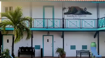 Egzotyka Light - Curacao