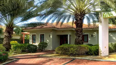 Egzotyka Light - Curacao