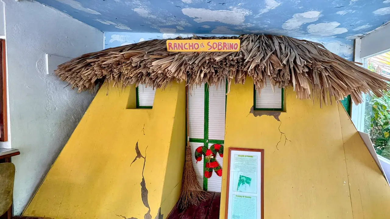 Egzotyka Light - Curacao