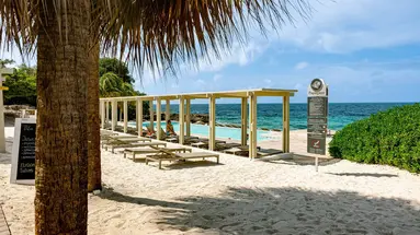 Egzotyka Light - Curacao