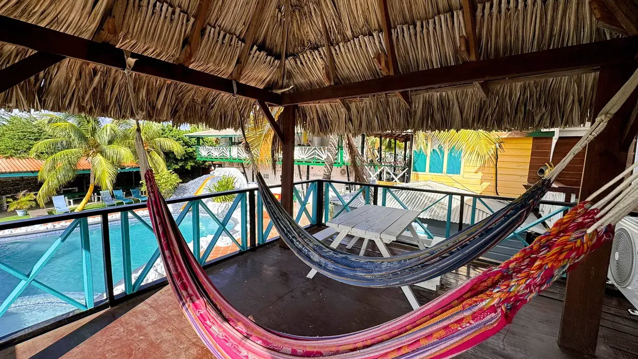 Egzotyka Light - Curacao