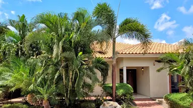 Egzotyka Light - Curacao