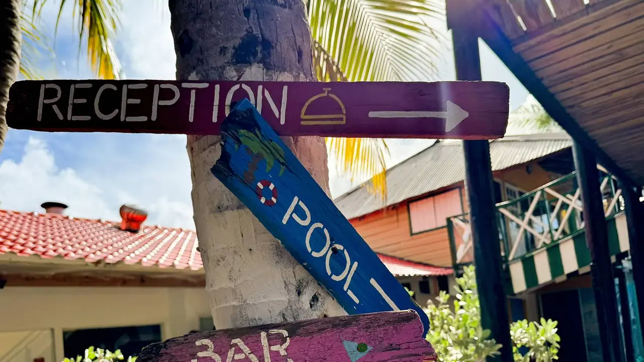 Egzotyka Light - Curacao