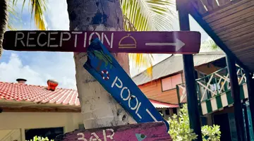 Egzotyka Light - Curacao